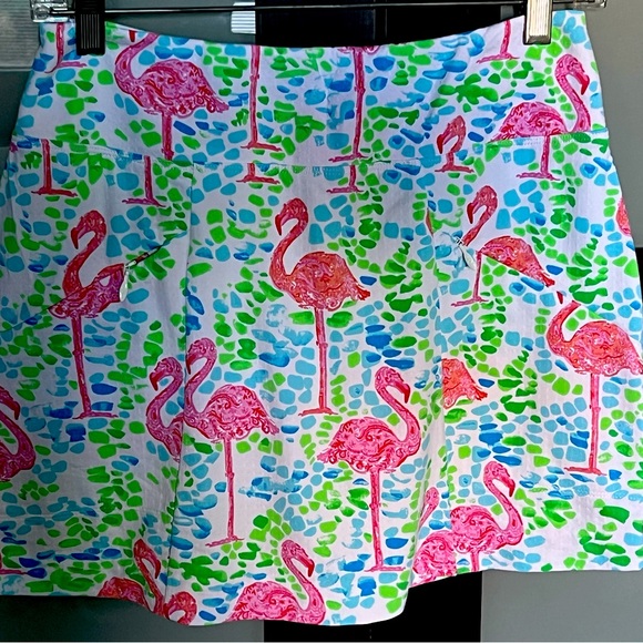 IBKUL & Skort Obsession Lot of 2  golf/tennis skorts - Picture 1 of 4